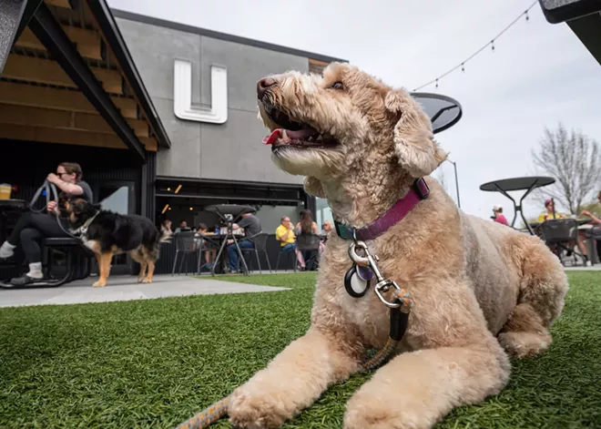 Check out these 15 dog-friendly patios in and around Spokane