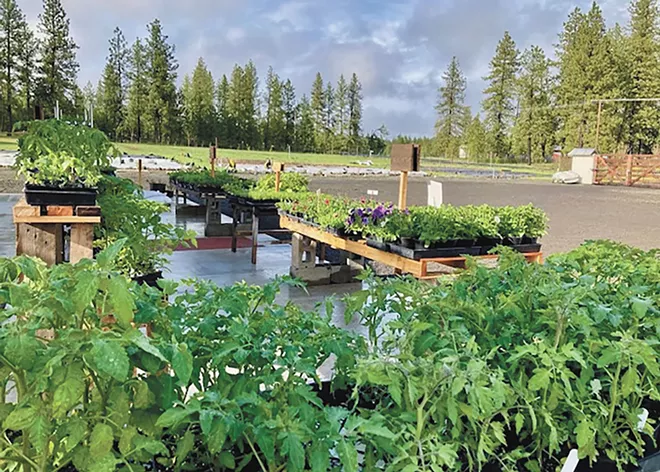A farm store stocked with local goods sprouts on the Palouse