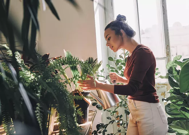 Letting your mind wander can recharge a mental battery drained by directed attention