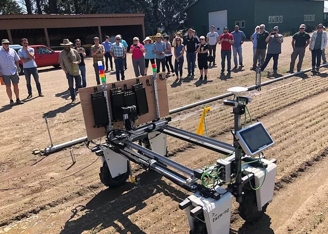 The University of Idaho's new weed- killing robot is helping grow more trees to reforest public lands