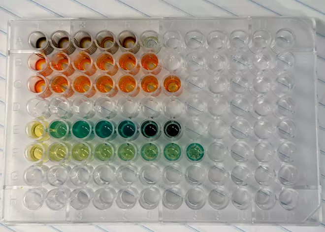 EWU researchers seek to find the missing puzzle piece to help repair cells' housekeeper enzymes