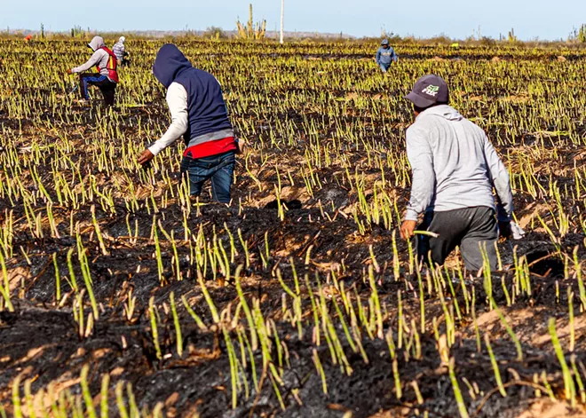 New Washington laws strengthen protections for immigrant communities amid federal attacks
