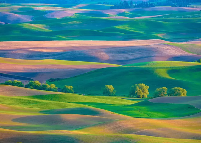 Summer Guide 2025: Road Trips