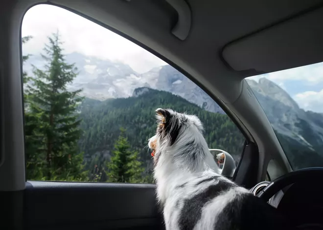 Small adventures can make for big summer memories