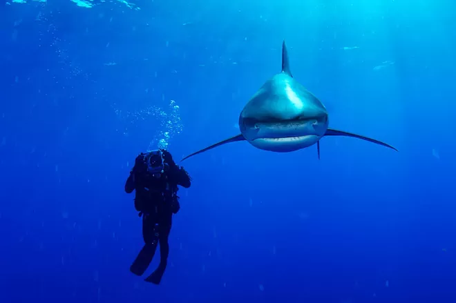 National Geographic photographer encourages Spokane audience to understand the oceans' plights