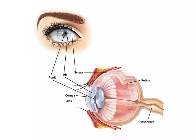 Eye-opening advice from experts on how to avoid damaging your precious vision