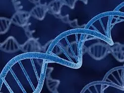 Testing future doctors, running risks and getting a boost from meatless protein