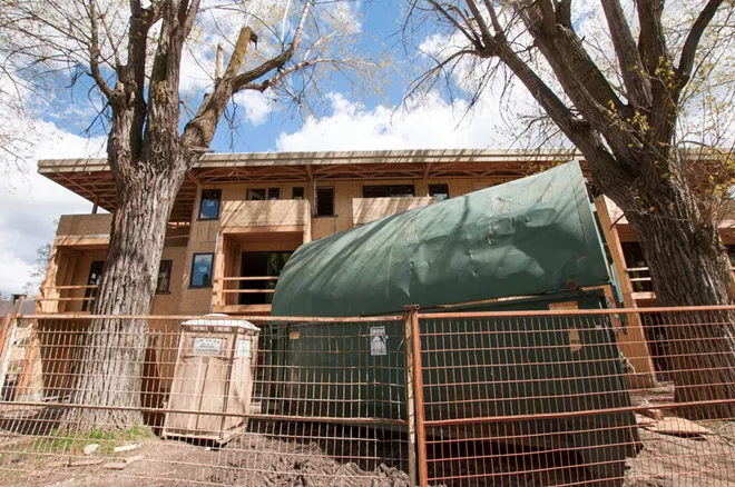 As Browne's Addition seeks historic recognition, City Council retains demolition ban