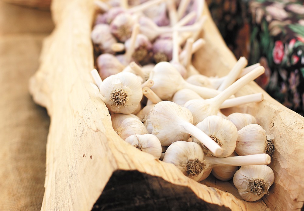 How Does Your Garlic Grow?
