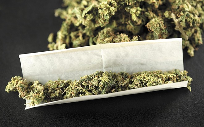 A new study at WSU analyzes "micro dosing" with marijuana