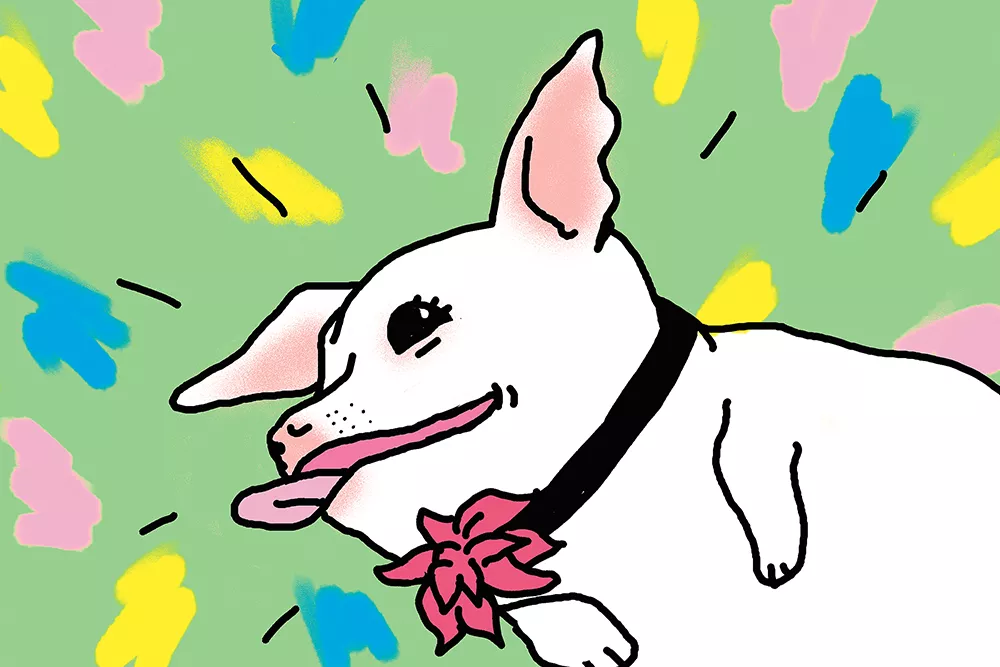 Must (learn to) love dogs