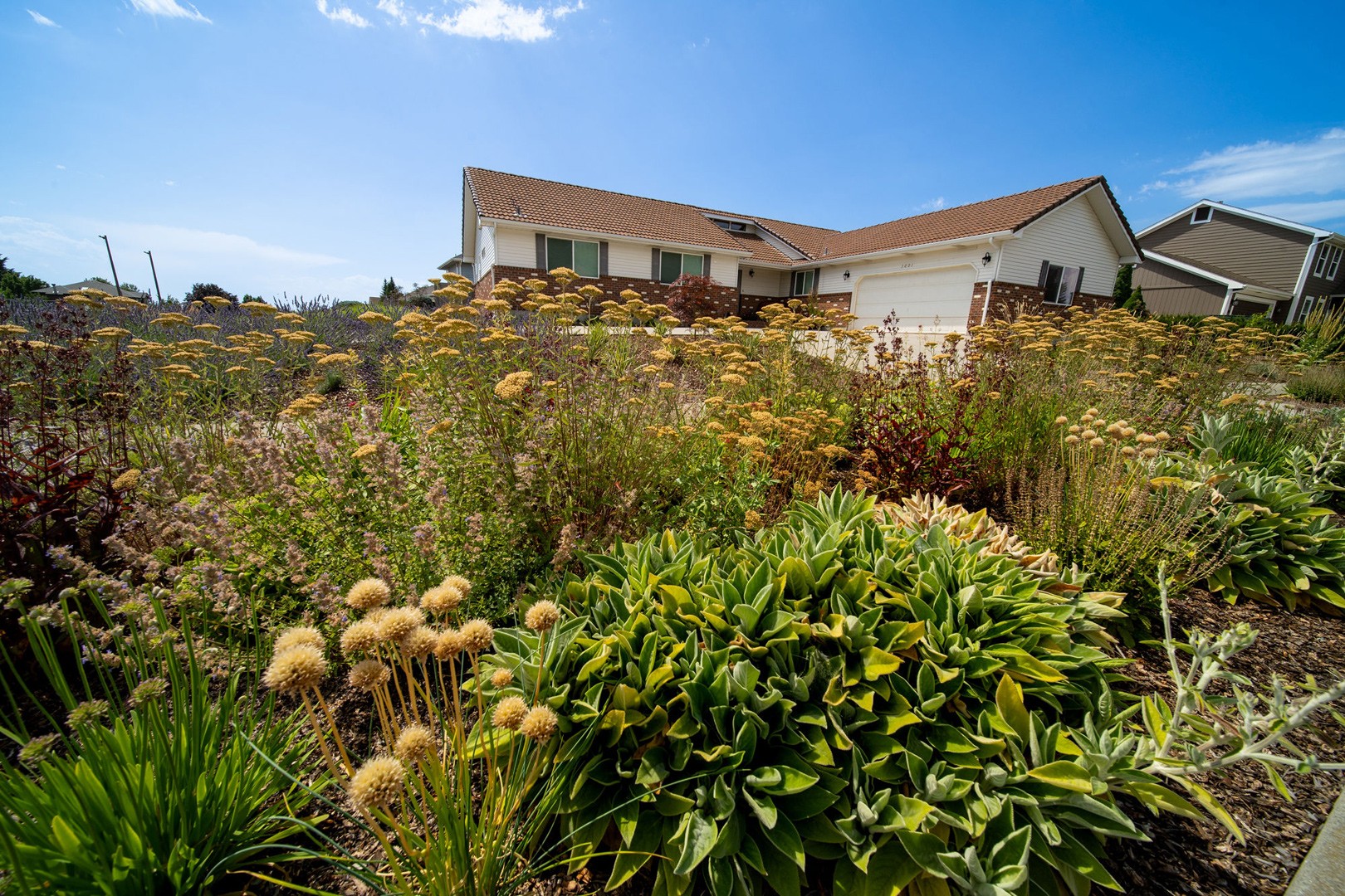 Avista Stadium — PLACE LANDSCAPE ARCHITECTURE