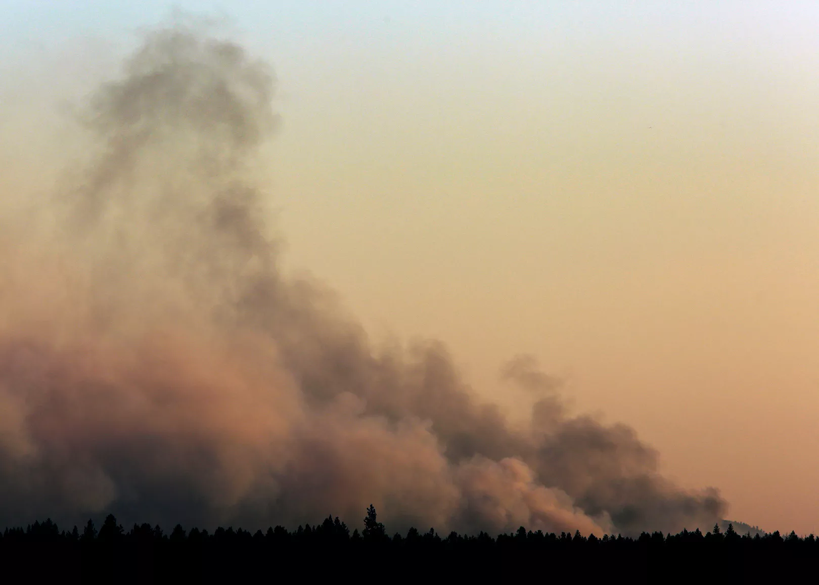 Mobile Fire Rescue responds to brush fire north of Downtown