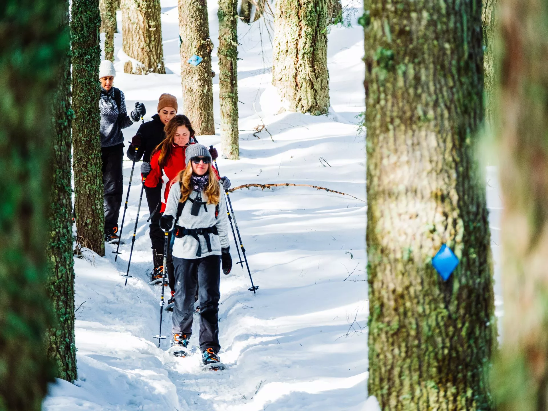 Snowshoe Mount Spokane with Transportation Yoke's Fresh Market
