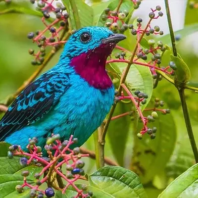 THIS WEEK: Metal and folk tunes, poetry and bird-watching strolls