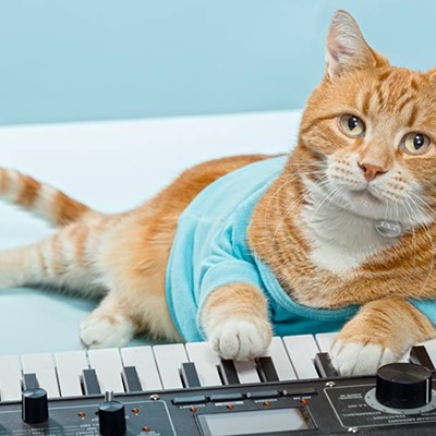 CAT FRIDAY: Spokane's Keyboard Cat, Bento, has crossed the Rainbow Bridge