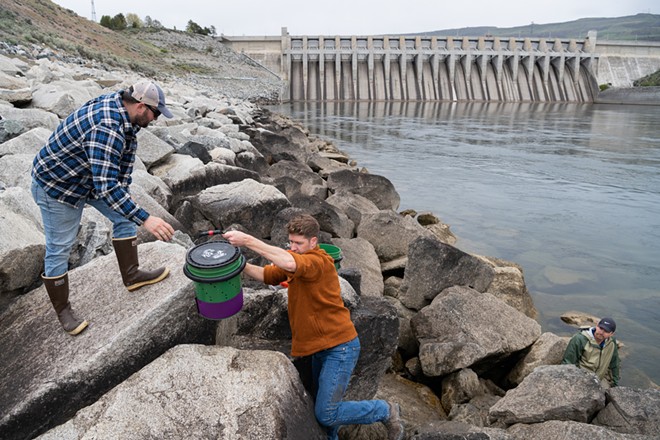 Photos from Inland Northwest tribes' salmon release at Chief Joseph Dam in Central Washington