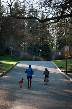 WANDERLUST: Parks and the Power of Observation