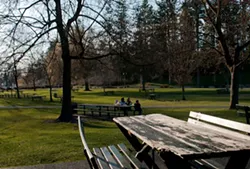 WANDERLUST: Parks and the Power of Observation