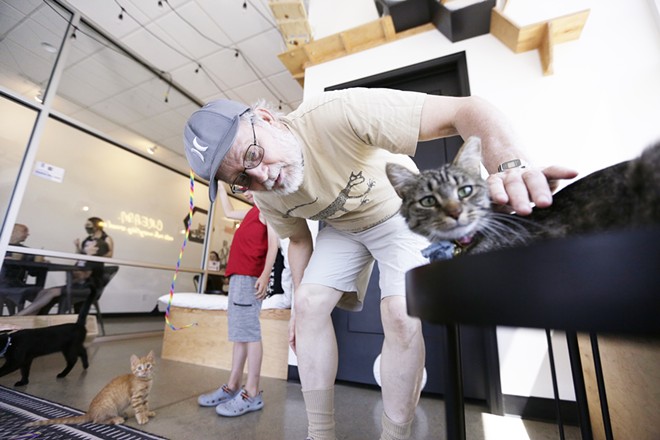 We make a visit to Kitty Cantina, Spokane's first cat cafe