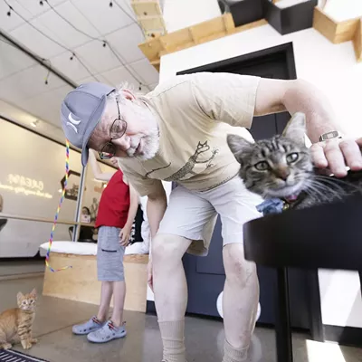 Image: We make a visit to Kitty Cantina, Spokane's first cat cafe