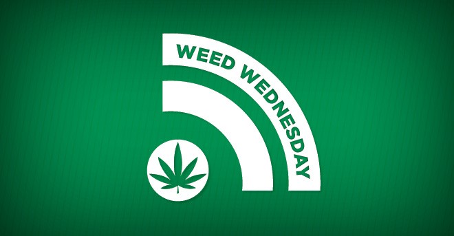 WEED WEDNESDAY: Congress's contradictory approach to pot and the children