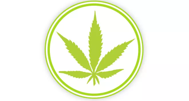 WEED WEDNESDAY: MMJ insurance coverage, a pot food truck and other marijuana news