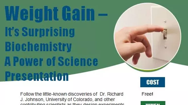 Image: Weight Gain: It's Surprising Biochemistry