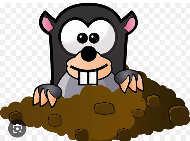 Dancing with Wack A Mole