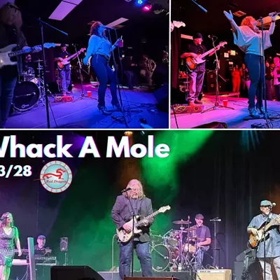 Image: Whack A Mole