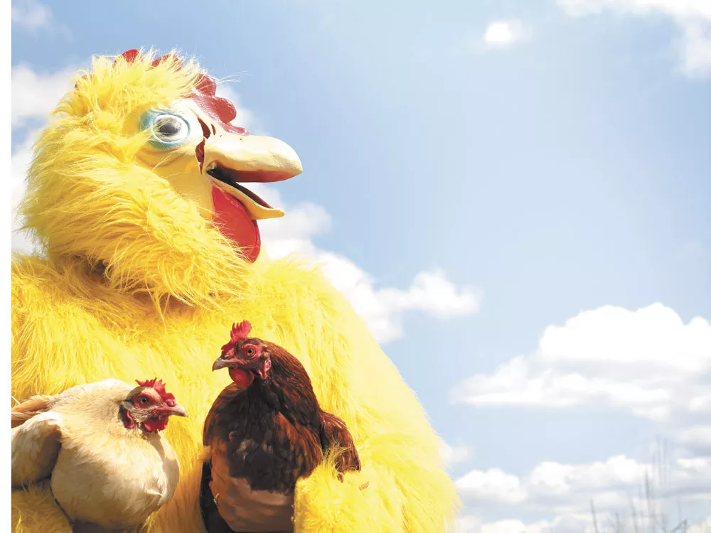 What Are You, Chicken?