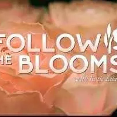 Image: What Happens When You Follow the Blooms?