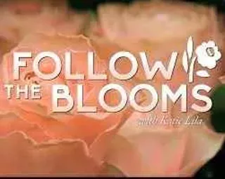 Image: What Happens When You Follow the Blooms?
