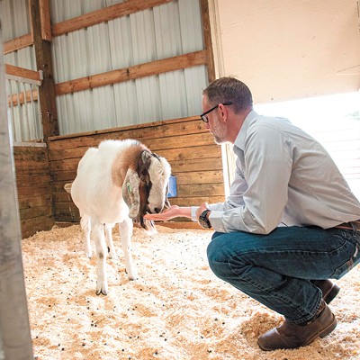 What if you could replicate the perfect goat and help feed the world?