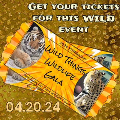 Image: Wild Things Wildlife Gala