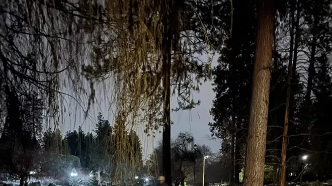 Image: Winter Lights