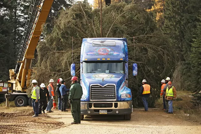 PHOTOS: U.S. Capitol Christmas Tree Cutting