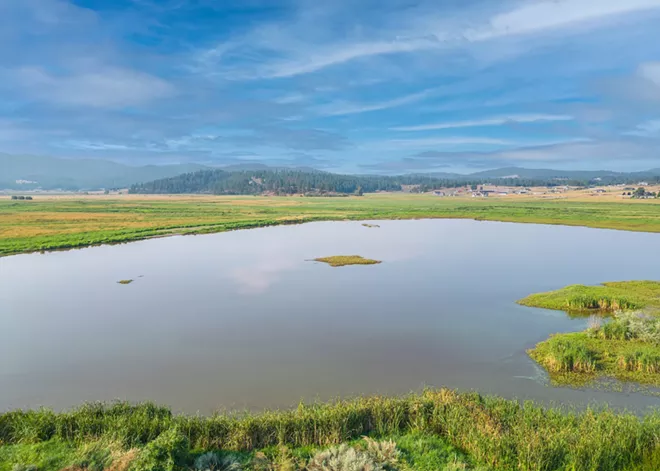 dji_0245-edit.webp