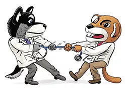 WSU and UW agree to split, pursue medical education separately