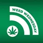 WW: Home-growing pot will probably remain illegal, marijuana arrests down in CO and pot's energy use